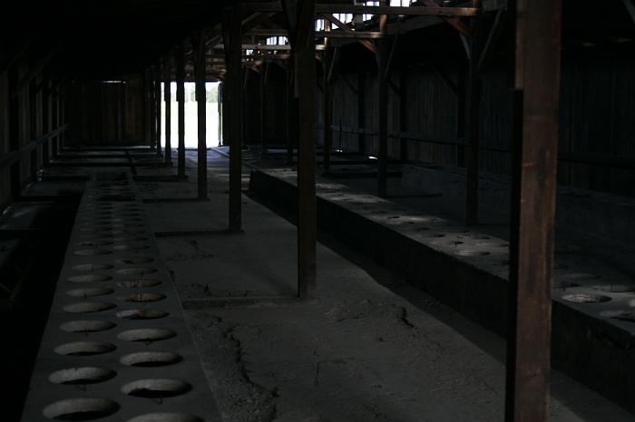 B_Birkenau_004