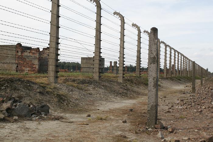 B_Birkenau_009