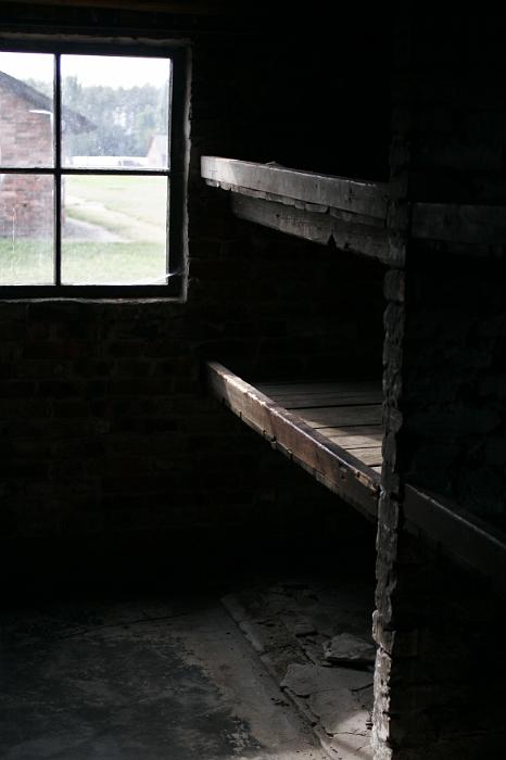 B_Birkenau_016
