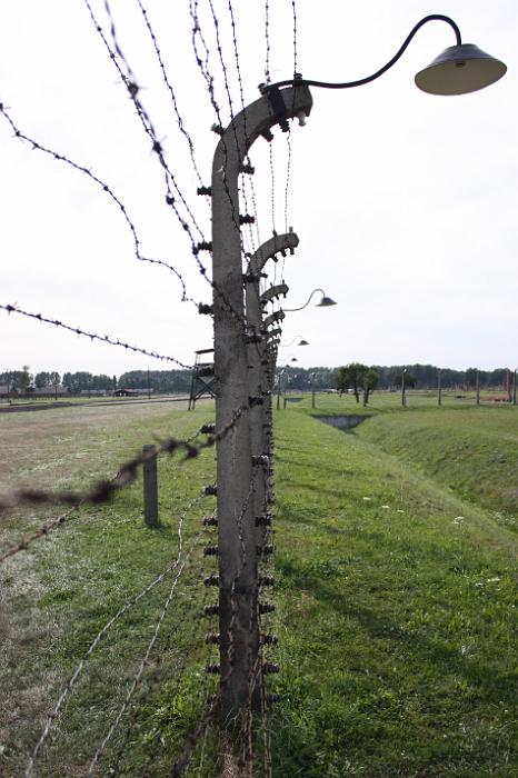 B_Birkenau_036
