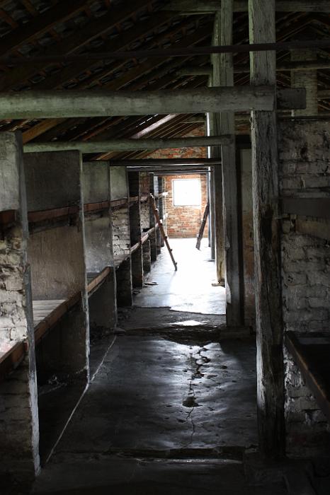 B_Birkenau_045