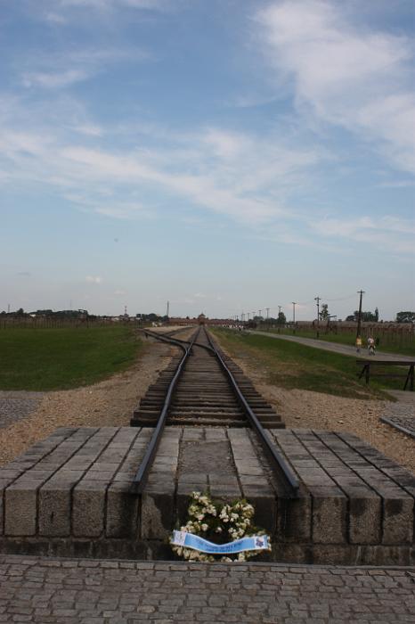 B_Birkenau_053