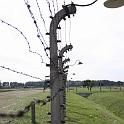 B_Birkenau_036