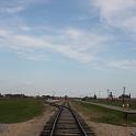 B_Birkenau_053